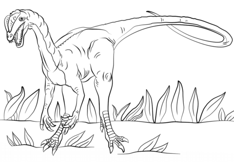 Jurassic Park Dilophosaurus Coloring Page